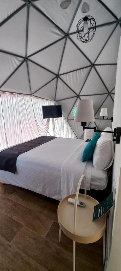 Anzures Black House Мексико Сити Екстериор снимка